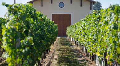 Des métiers passionnants